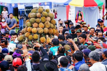 Fantastis, Cuan di Festival Durian Sumbersari Hampir Setengah Miliar, Pengunjung Capai 9000 Orang Festival Durian Sumberasri 2023