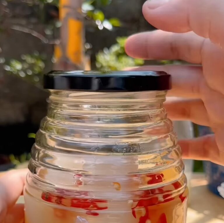 Ide Resep Takjil Sehat Asinan Rambutan Anti Aging, Yuk Coba Membuatnya