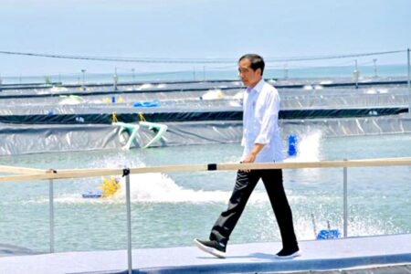 Presiden Jokowi Resmikan Tambak Udang Senilai Rp175 Miliar di Kebumen
