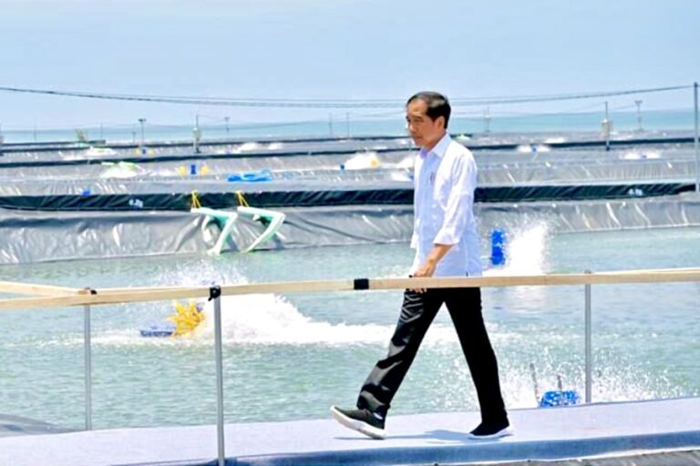 Presiden Jokowi Resmikan Tambak Udang Senilai Rp175 Miliar di Kebumen