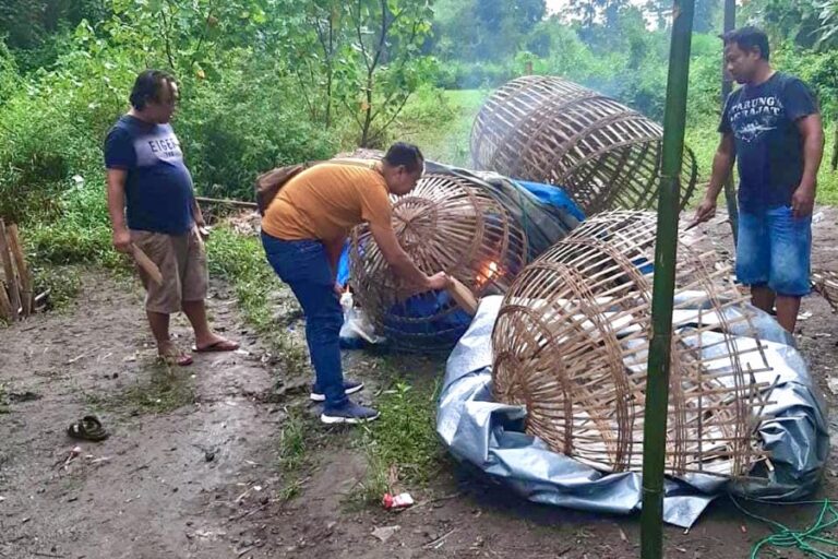 Polres Jombang Grebek Judi Sabung Ayam di Desa Bungasur