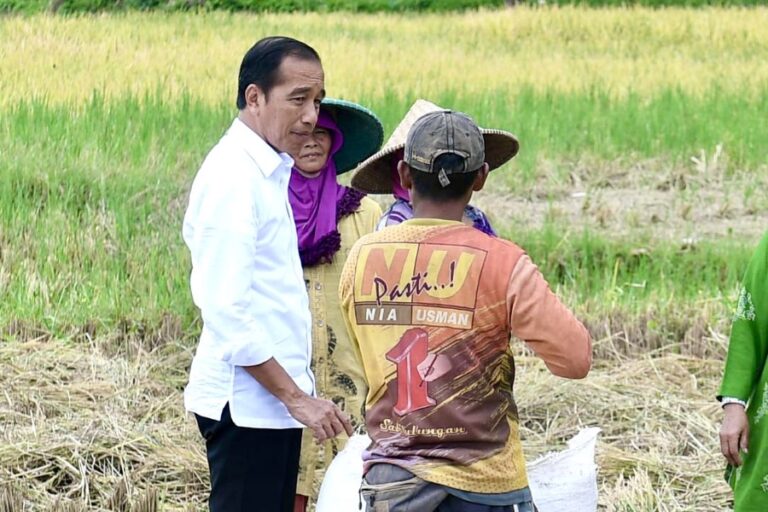 Jawab Keluhan Petani, Presiden Jokowi Akui Kekurangan Pupuk