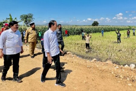 Serahkan SK Hutan Sosial, Presiden Jokowi: Kepasatian Bagi Rakyat Garap Lahan