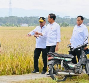Mentan Yasin Limpo Bareng Jokowi Panen Padi di Kebumen