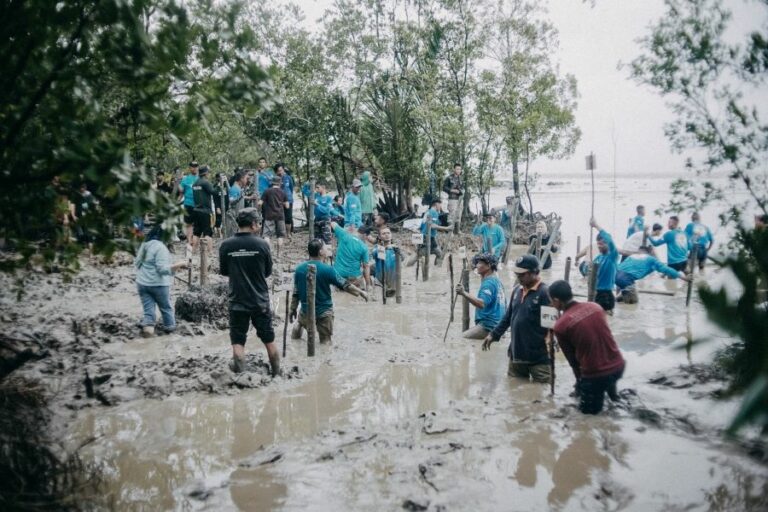 Tanam Mangrove Bersama, Kolaborasi Peduli Daerah Pesisir