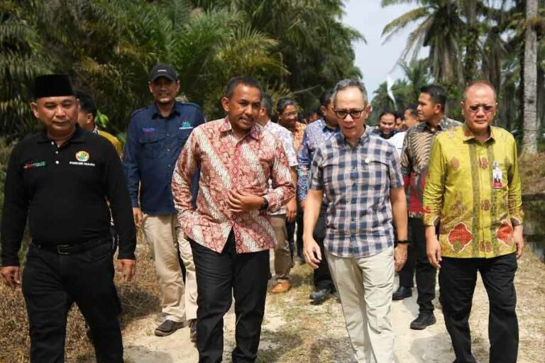 Perkuat Komoditas Strategis, OJK Dorong Pembiayaan Sektor Kelapa Sawit Ketua Dewan Komisioner OJK Mahendra Siregar (tengah) saat bertemu para petani perkebunan kelapa sawit di Kabupaten Kampar, Riau