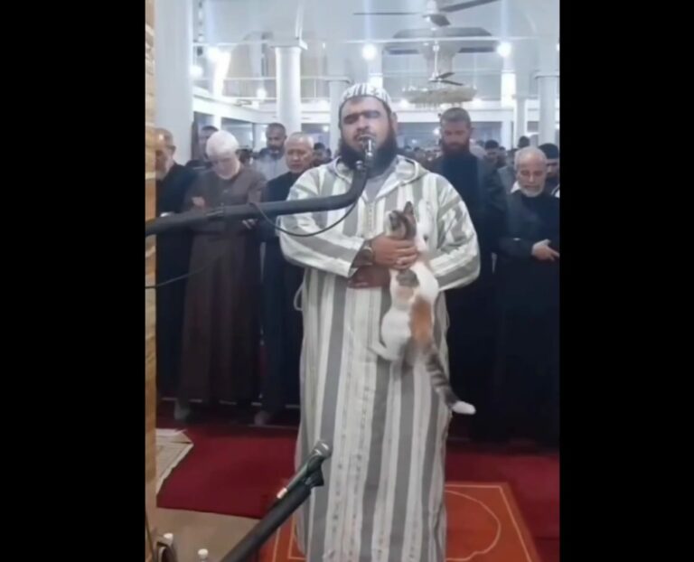 Gemas, Kucing Lompat ke Baju Imam Tarawih, Merangkak ke Pundak dan Cium Wajah Imam