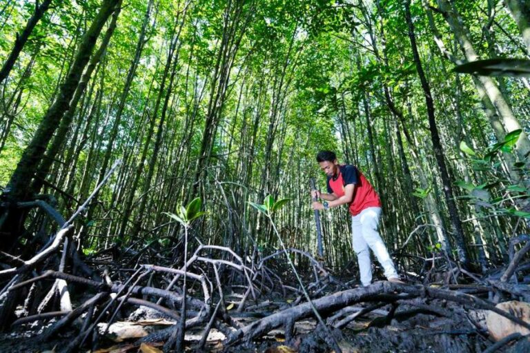 Ecoeduwisata Bandar Bakau dan Jaga Konservasi Mangrove di Pesisir Riau
