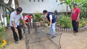 Menuju Kalaju, KKP Perkuat Penyuluhan Perikanan di Belitung Peran penyuluh memberi dampak signifikan di Desa Suak Gual, Kecamatan Nasik, Kabupaten Belitung. Desa ini berhasil naik kelas menjadi percontohan Kampung Nelayan Maju