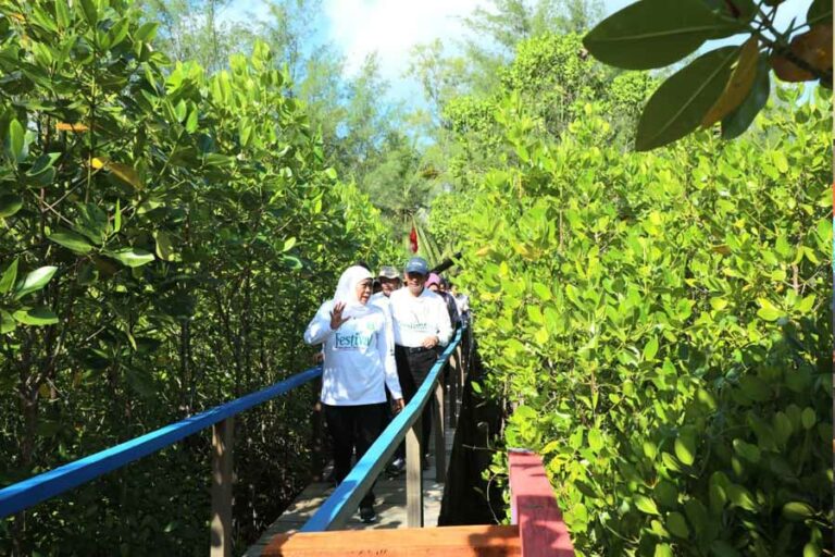 Hadiri Festival Mangrove di Trenggalek Gubernur Khofifah Ingatkan Integrasi Hilirasi dan Ekonomi Gubernur Khofifah saat menghadiri Festival Mangrove ke-4 di Hutan Mangrove Pancer Cengkrong Kabupaten Trenggalek