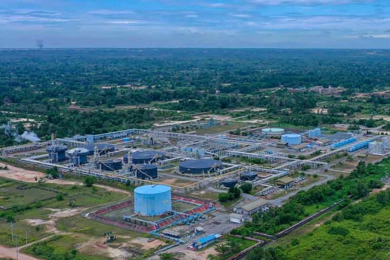 Jadi Kado HUT Kemerdekaan RI, PHE Berhasil Lampaui Target Pengurangan Emisi Karbon