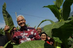 Ganjar Ajukan Permintaan Agar Produsen Rokok Beri Prioritas pada Tembakau Lokal