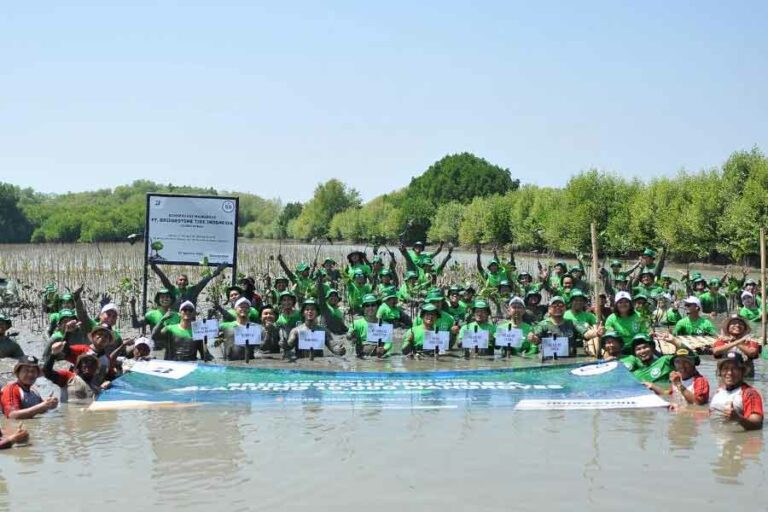 Bridgestone Indonesia Tanam 10 Ribu Pohon Mangrove untuk Konservasi Lingkungan