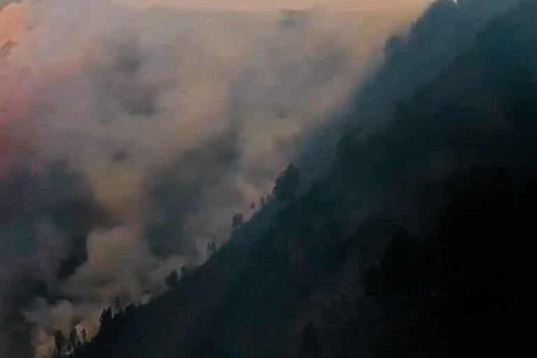 Alasan Polda Jatim Tangani Kasus Karhutla Bromo, Dampak Dinilai Luas dan Kerugian Signifikan Kebakaran hutan dan lahan di Taman Nasional Bromo Tengger Semeru (TNBTS). Kini kasus ini telah ditangani Polda Jatim (foto: istimewa)