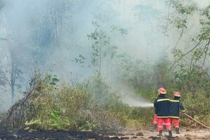 PT Pertamina Hulu Sanga Sanga Dukung Penanganan Kebakaran Hutan dan Lahan di Kalimantan Barat Penanganan kebakaran hutan dan lahan di wilayah Muara Jawa, Kalimantan Barat.