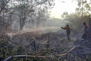 Kualitas Udara Terganggu, Pemkot Palangka Raya Tetapkan Status Tanggap Darurat Karhutla Pemadaman karhutla di Kota Palangka Raya (foto: Dok Kominfo Palangkaraya)