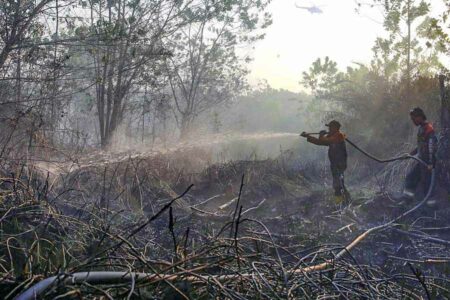 Kualitas Udara Terganggu, Pemkot Palangka Raya Tetapkan Status Tanggap Darurat Karhutla Pemadaman karhutla di Kota Palangka Raya (foto: Dok Kominfo Palangkaraya)