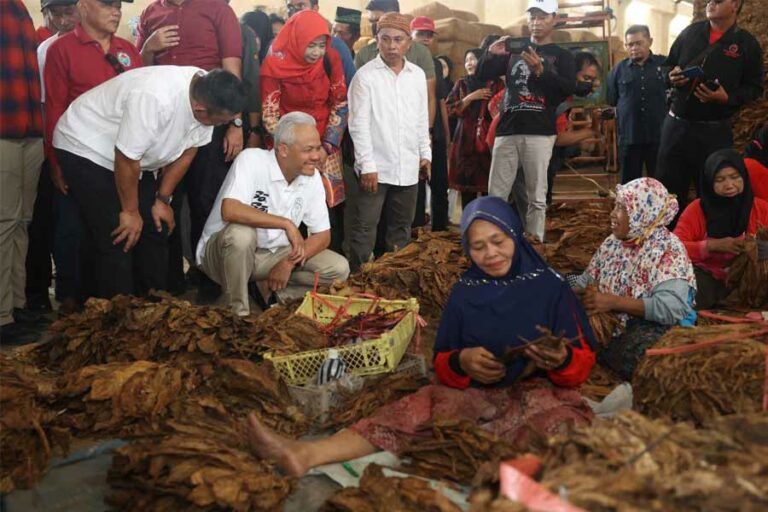 APTI Apresiasi Komitmen Ganjar Perjuangkan Akses Petani Tembakau Terhadap Pupuk