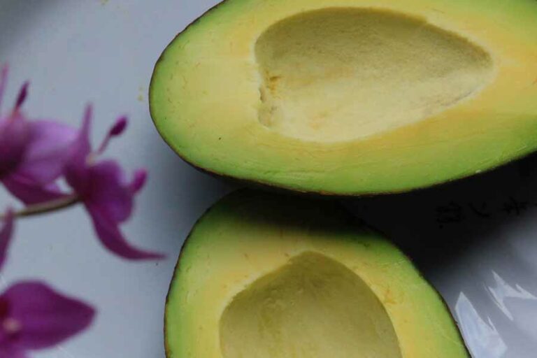 Manfaat Buah Alpukat untuk Kesehatan, Bikin Body Makin Optimal! Buah alpukat yang lezat dan kaya manfaat (foto: Anne, pexels)