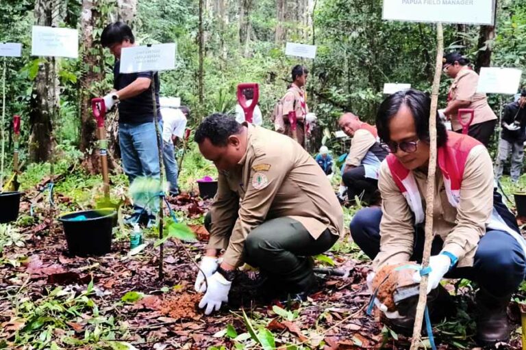 Peringatan Hari Menanam Pohon, SKK Migas-Pertamina EP Papua Raih Penghargaan