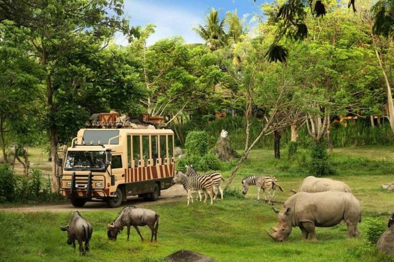 Taman Safari Bali, Destinasi Liburan Akhir Tahun yang Siap Memberi Pengalaman tak Terlupa