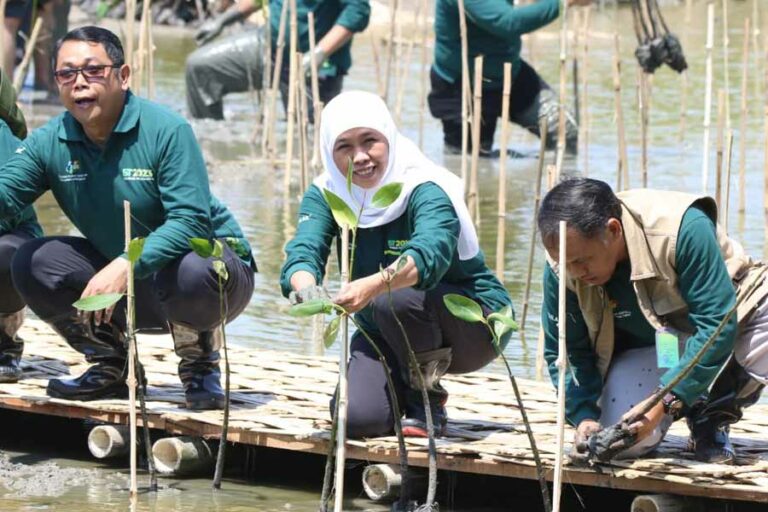 Gubernur Khofifah Ajak Masyarakat Sedekah Oksigen di Hari Gerakan Satu Juta Pohon