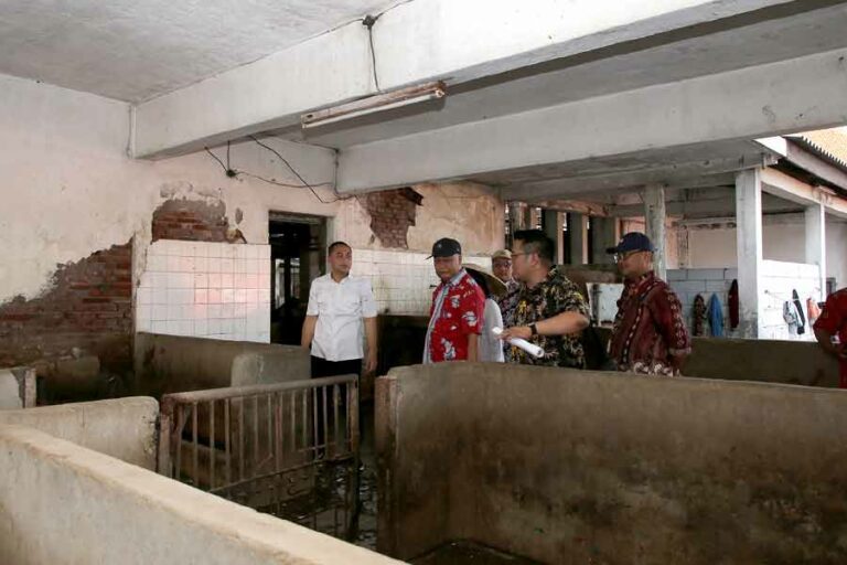 Berdiri Sejak 1927, RPH dan Kandang Babi Dipindahkan dari Kawasan Wisata Religi Ampel