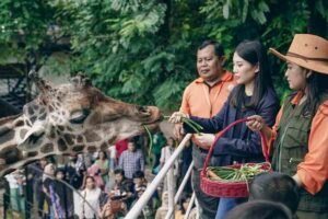 Wamenparekraf Apresiasi Kebun Binatang Surabaya yang Bangkit dari Pandemi Angela Tanoesoedibjo saat meninjau Kebun Binatang Surabaya