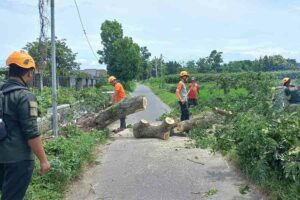 Potensi Angin Kencang di Kota Blitar hingga Hari Ini, Masyarakat Diminta Waspada