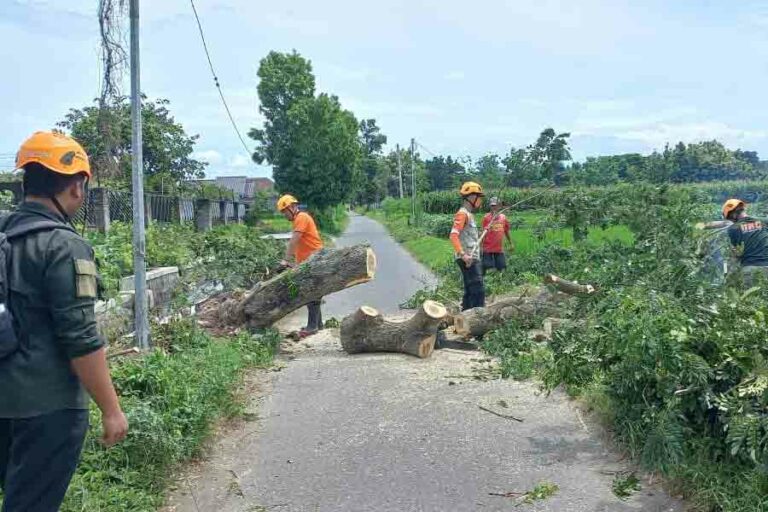 Potensi Angin Kencang di Kota Blitar hingga Hari Ini, Masyarakat Diminta Waspada