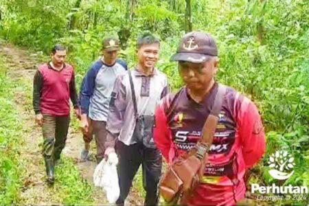 Perhutani dan BBKSDA Lepasliarkan Ular Piton di Hutan Sumenep untuk Konservasi Satwa