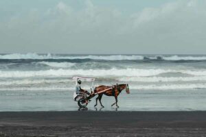 Mulai Besok, BRIN Gelar Konferensi International Indian Ocean Science Conference 2024 Kawasan Wisata Pantai Parangtritis, Yogyakarta, salah satu pantai landai yang menghadap langsung ke Samudera Hindia (foto: Elang Wardhana, unsplash)