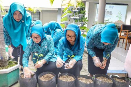 PKK Provinsi Jatim Gerakkan Kader Tanam Cabai di Rumah untuk Manfaat Ekonomi dan Kesehatan