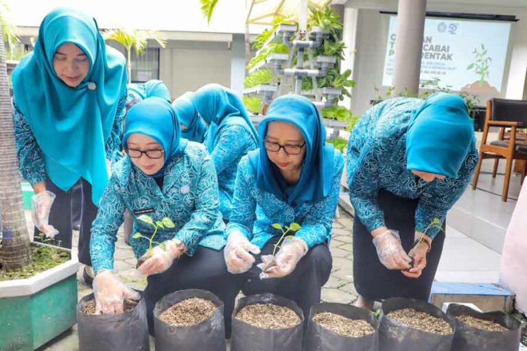 PKK Provinsi Jatim Gerakkan Kader Tanam Cabai di Rumah untuk Manfaat Ekonomi dan Kesehatan