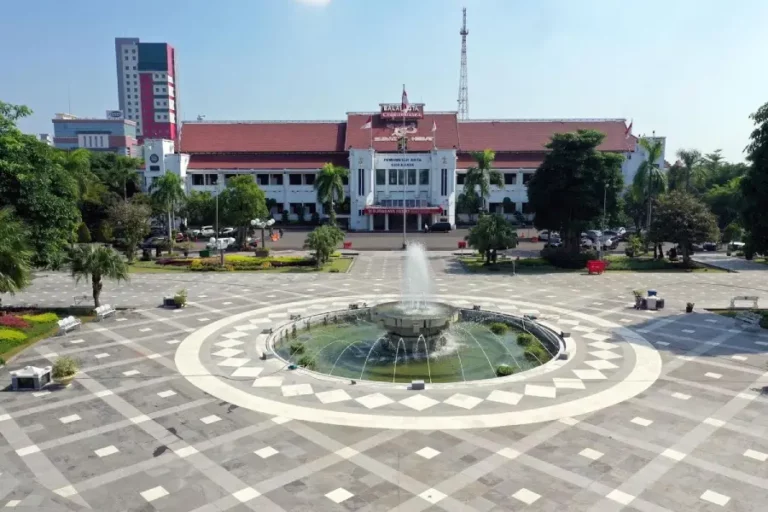 Pemkot Surabaya Lakukan Langkah Penguatan Antisipasi Risiko Penularan DBD