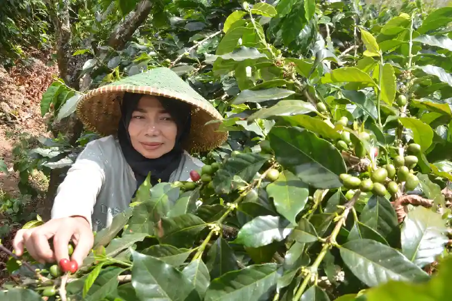 Hendah, perempuan inspiratif Desa Sinarjaya, Kecamatan Cisurupan, Kabupaten Garut, Jawa Barat.