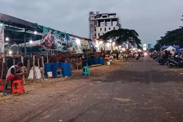 Sentra penjualan hewan qurban di Jl MERR, Surabaya (foto: Tiara Aydin Sava)