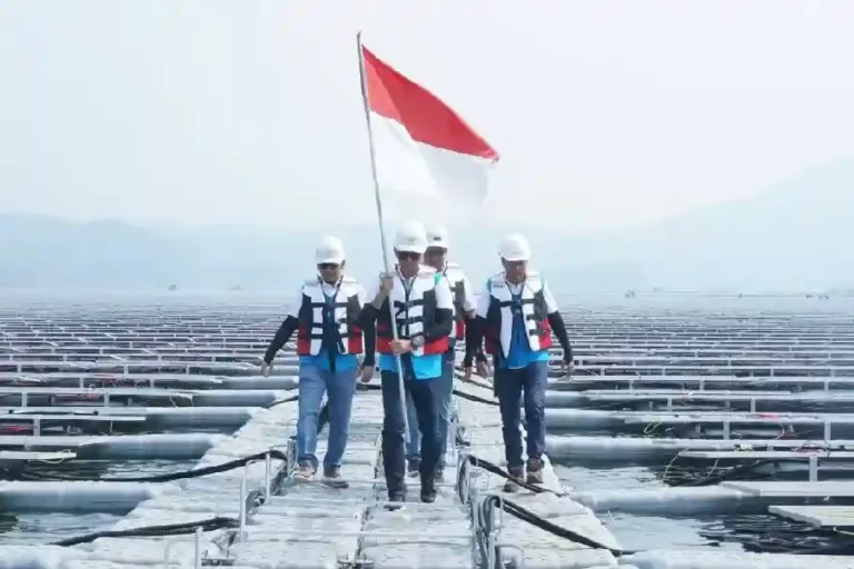 PLN Raih Peringkat Teratas Perusahaan Utilitas Terbaik di Asia Tenggara