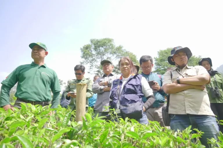 Bio Farma Rayakan Hari Konservasi Alam Nasional dengan Pelepasan Satwa Langka