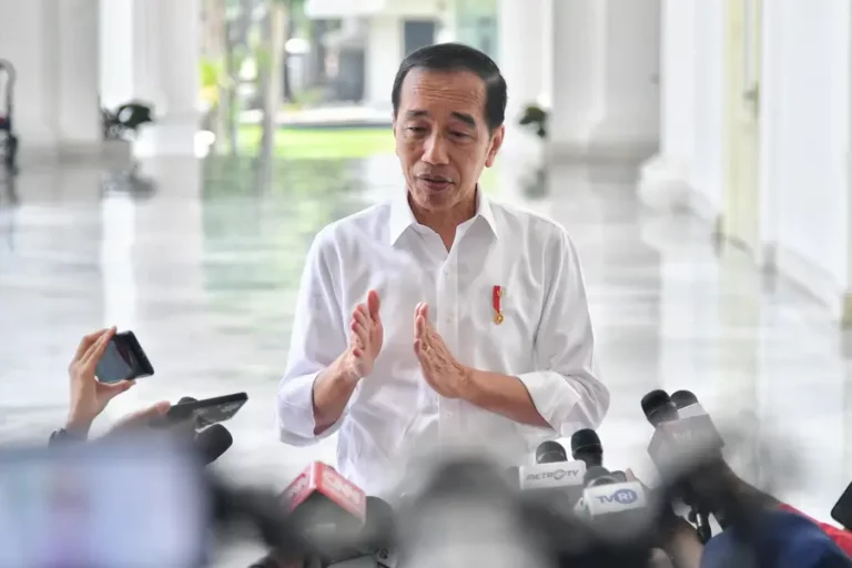 Presiden Jokowi Apresiasi Pembebasan Pilot Susi Air Berlangsung Lancar Presiden Joko Widodo (foto: BPMI Setpres)