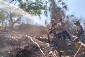 Kebakaran Hutan di Lumajang Berhasil Dipadamkan, Polisi dan Tim Gabungan Kerahkan Upaya Maksimal