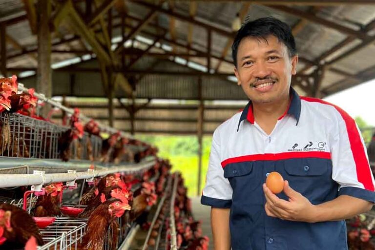 PHI Luncurkan Program Restorasi Mangrove dan Budidaya Ayam Petelur di Tana Tidung Pengembangan sentra budidaya ayam petelur di Desa Sengkong, Kecamatan Sesayap Hilir, Tana Tidung, Kalimantan Utara