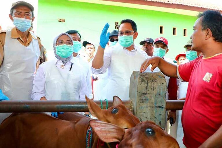 Jawa Timur Tetapkan Status Darurat PMK, Pj. Gubernur Pastikan Penanganan Cepat Jawa Timur Tetapkan Status Darurat PMK