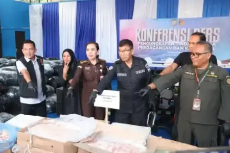 Polda Kepri Bongkar Penyelundupan 5.037 Kotak Daging Ilegal dari Singapura, Dua Tersangka Diamankan Polda Kepri gagalkan penyelundupan 5.037 kotak daging ilegal dan ratusan karung barang bekas dari Singapura. Dua tersangka terancam 10 tahun penjara.