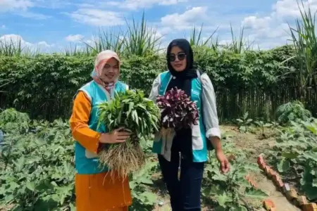 Dari Lahan Kosong Jadi Kebun TOGA, Kisah Murni di Duri Hidupkan Warisan Tanaman Obat Tradisional Murni (kiri), memamerkan hasil panen di kebun ketahanan pangan dan TOGA yang dikelola.