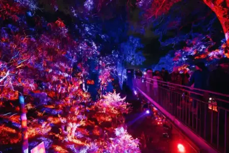 Lightscape Perth 2026 Hadir Lebih Spektakuler, Sulap Kings Park Jadi Negeri Cahaya Musim Dingin Lightscape Perth 2026 kembali hadir di Kings Park dengan lebih dari 20 instalasi cahaya imersif yang memikat wisatawan dan keluarga.