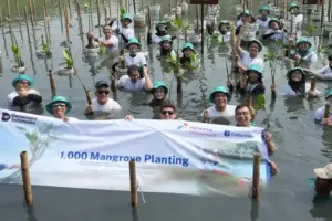 Peringati Hari Lingkungan Hidup 2026, PIEP Tanam 1.000 Mangrove dan Perkuat Komitmen ESG Berkelanjutan PIEP menanam 1.000 mangrove, menggelar aksi bersih lingkungan, dan edukasi ekosistem pesisir dalam peringatan Hari Lingkungan Hidup 2026.