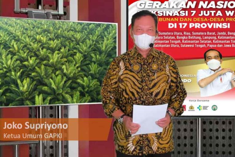 Joko Supriyono, Ketua Umum GAPKI