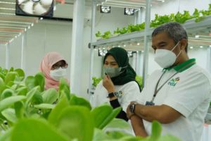 PLN Dukung Program Container Farming Pertama di Ibu Kota