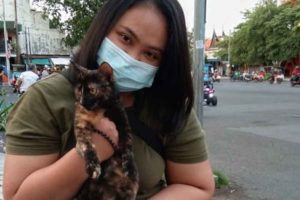 Niken Mayang, Pecinta dan Aktivis Peduli Kucing Jalanan